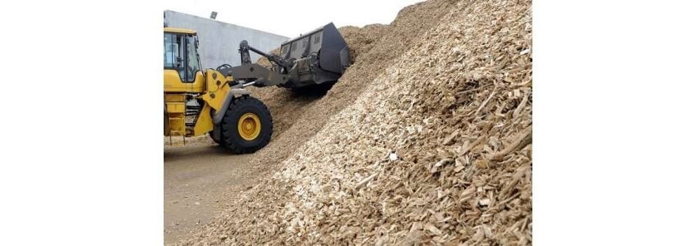 Exploring the Circular Economy: Unveiling Sustainable Practices