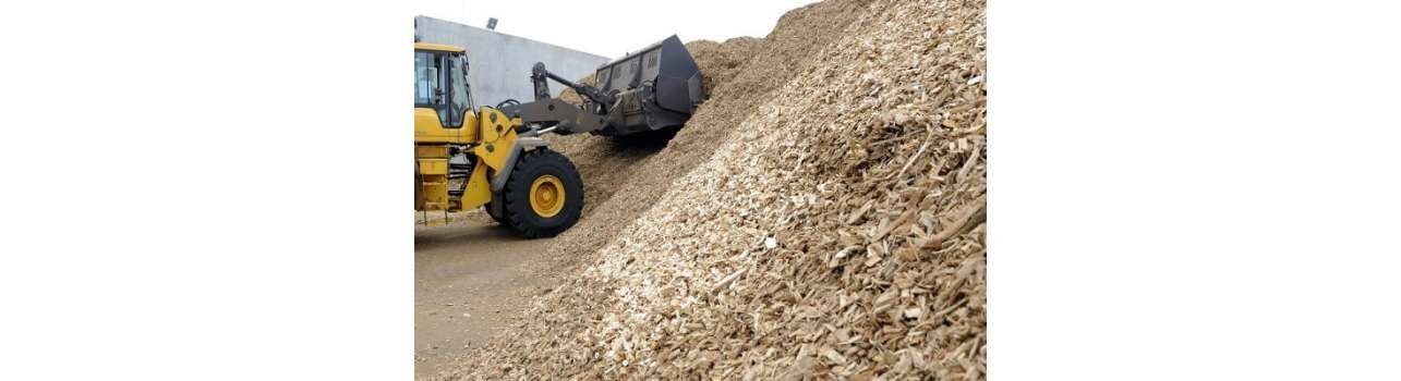 Exploring the Circular Economy: Unveiling Sustainable Practices