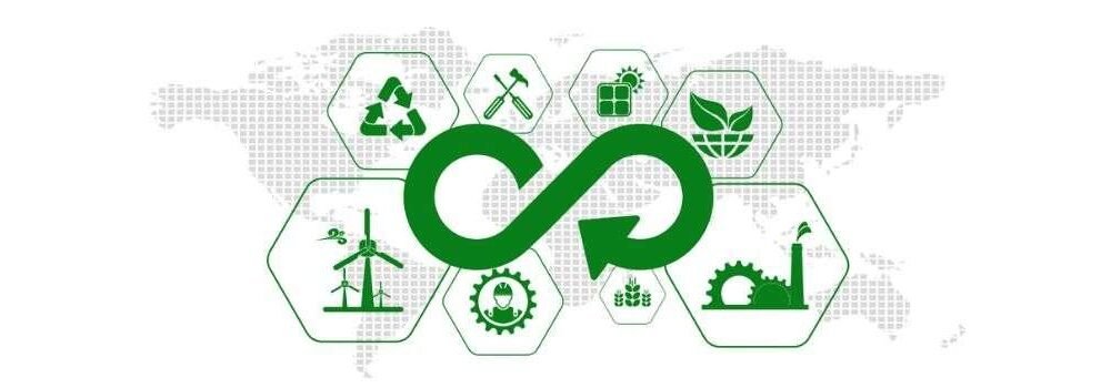 Sustainability unveiled: Navigating the Circular Economy